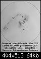 Cliquez sur l'image pour la voir en taille r�elle

Nom : sol 19-05.jpg
Affichages : 79
Taille : 63,9 Ko
ID : 23068