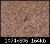 Cliquez sur l'image pour la voir en taille r�elle

Nom : photodegeux 001.jpg
Affichages : 194
Taille : 163,9 Ko
ID : 50460