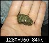 Est-ce une m�t�orite ??-dsc04251oejpg