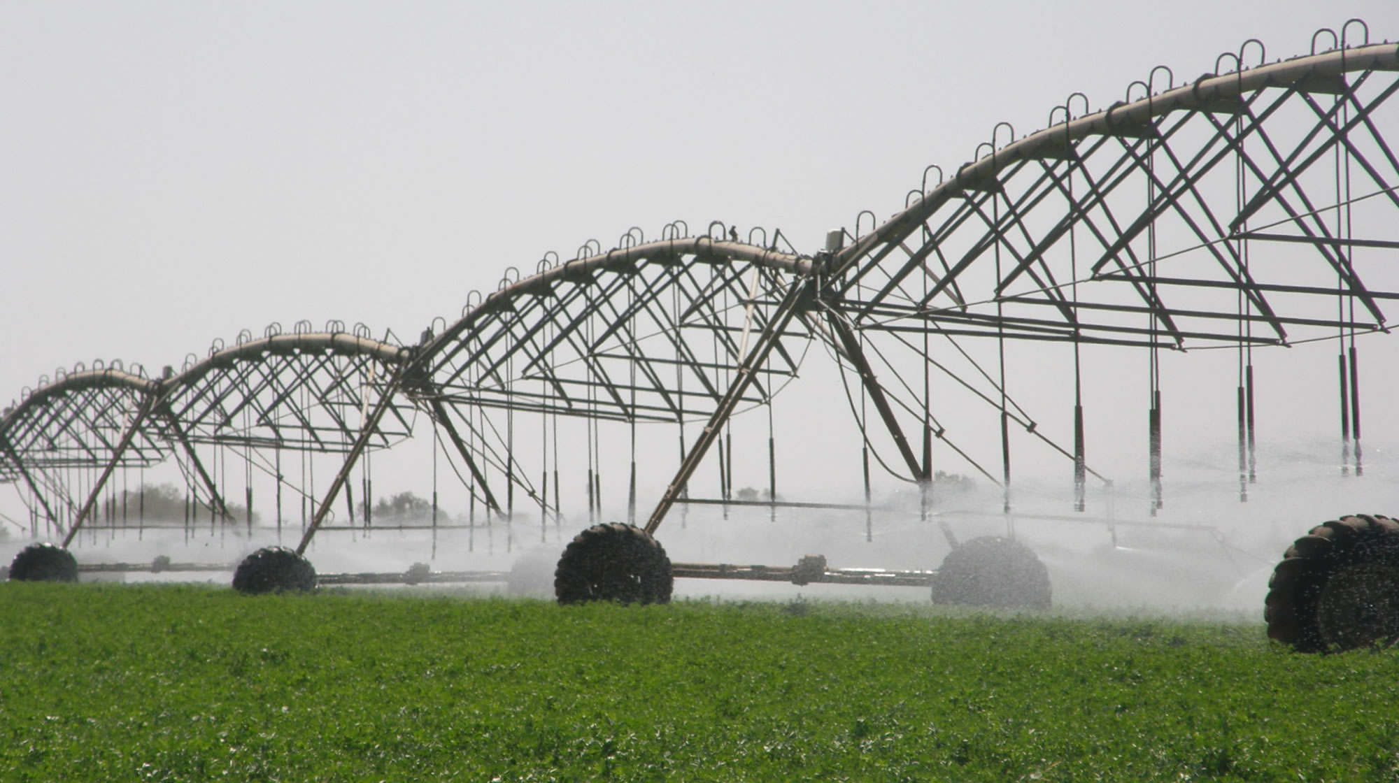 Nom : irrigation-equipment-pivot.jpg
Affichages : 96
Taille : 304,1 Ko