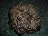 meteorites-img00004.jpg