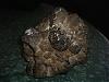 meteorites-img00005.jpg