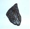 meteorites-img00009.jpg