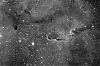 pmastro-34-c-beau-ic1396-cephee01.jpg