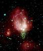 rose-astrale-roseastrale.jpg