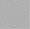 oeil-humain-rotation-visuelle2.gif