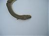 resolu-serpents-indesirables-serpent.jpg