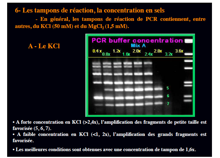 Nom : KCl PCR.png
Affichages : 244
Taille : 171,0 Ko