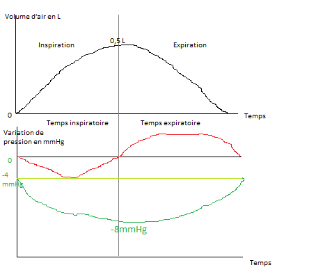 Nom : respiration_pressions.png
Affichages : 4250
Taille : 9,2 Ko