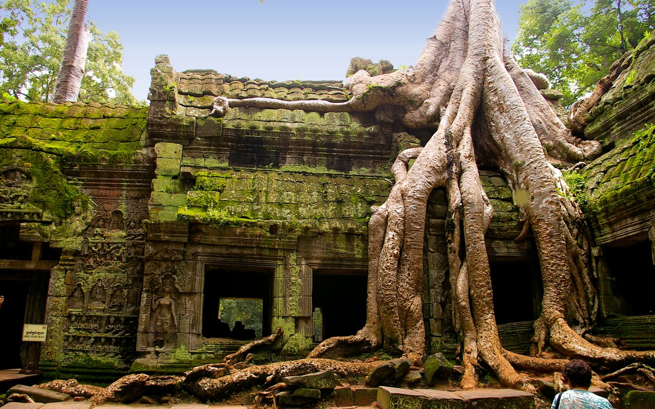 Nom : ta-prohm-temple-in-siem-reap-cambodia.jpg
Affichages : 299
Taille : 451,1 Ko