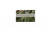 Myst�re d�couvert avec Google Earth-detailoejpg