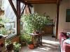 baies-vitrees-veranda-pict0004.jpg