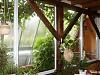 baies-vitrees-veranda-chorale-014.jpg