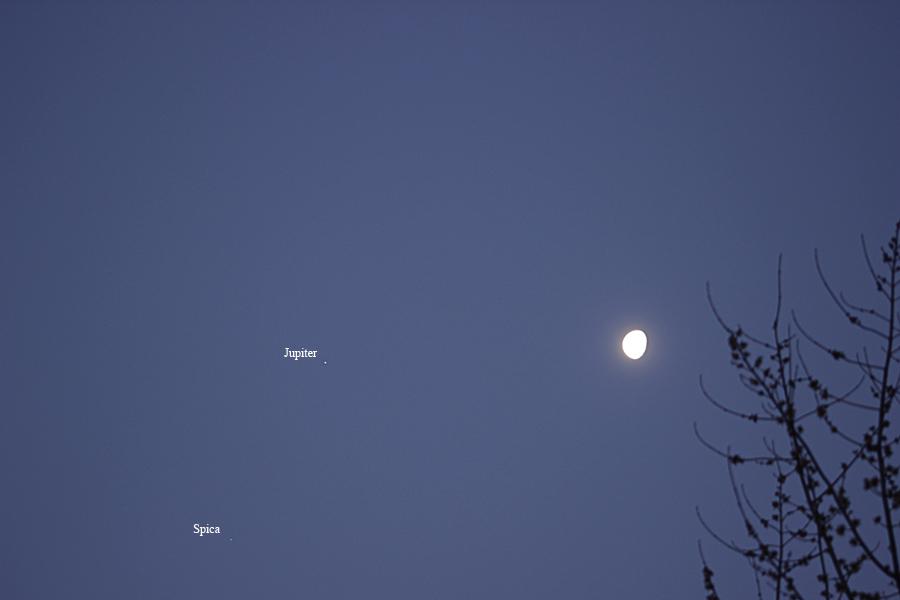 Nom : Lune Jupiter3 15-02-17.jpg
Affichages : 61
Taille : 298,7 Ko