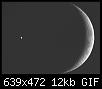 immersion-gif-immersion.jpg
