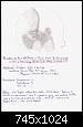dessin-astro-venus-m42-out.jpg