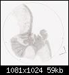 Dessin astro ; V�nus et M42-outzoomoejpg