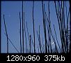 La Lune et V�nus-dscf7869oejpg