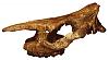 enigme-vengeance-fossile-mystere-casse.gif