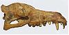 enigme-vengeance-fossile-mystere-enigme-n-3.jpg