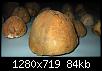identification-galet-sculpte-oursins3.jpg