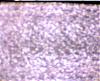 neige-tv-noire-blanche-lantenne.jpg