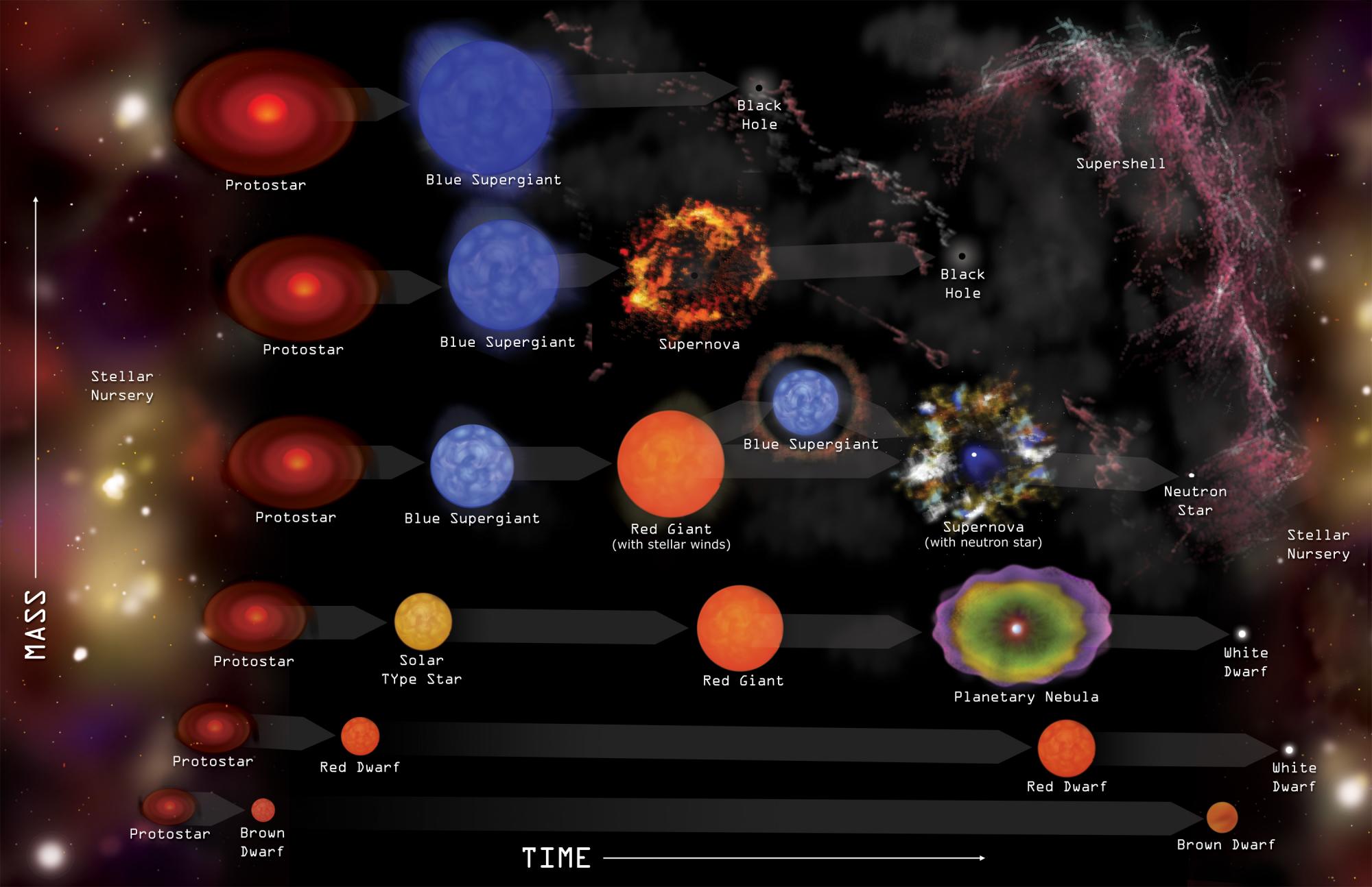 Эволюция звезд астрономия 11. Главная последовательность звезд. Этапы эволюции звезд. Диаграмма эволюции звезд. Эволюция звезд протозвезда.