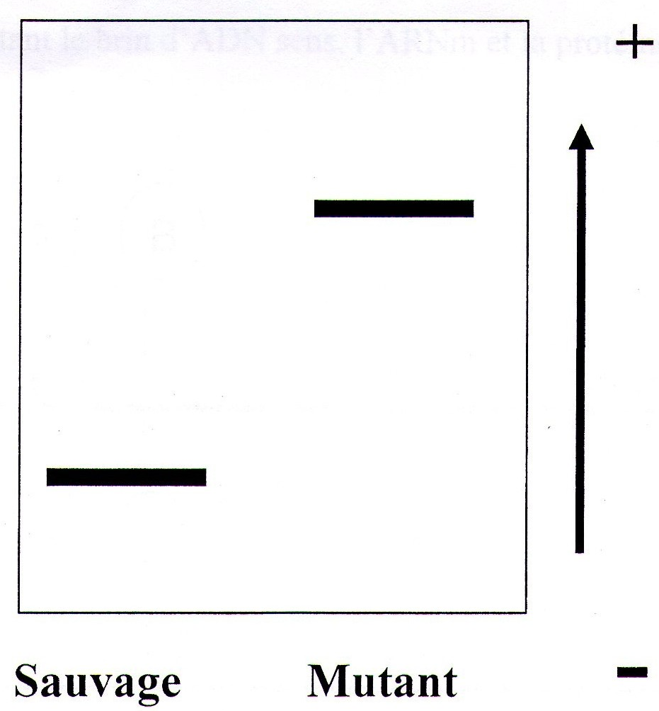 Nom : Sans titre.png
Affichages : 167
Taille : 305,6 Ko