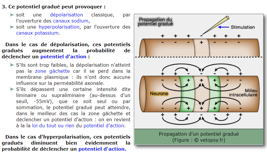 Nom : potentiel gradu.png
Affichages : 183
Taille : 261,7 Ko