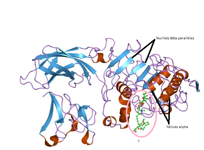 Nom : lipase.png
Affichages : 173
Taille : 315,6 Ko