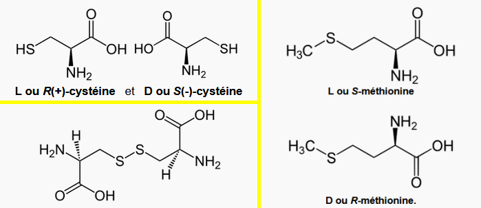 Nom : Cystine_Cystine_Methionine.png
Affichages : 66
Taille : 51,2 Ko