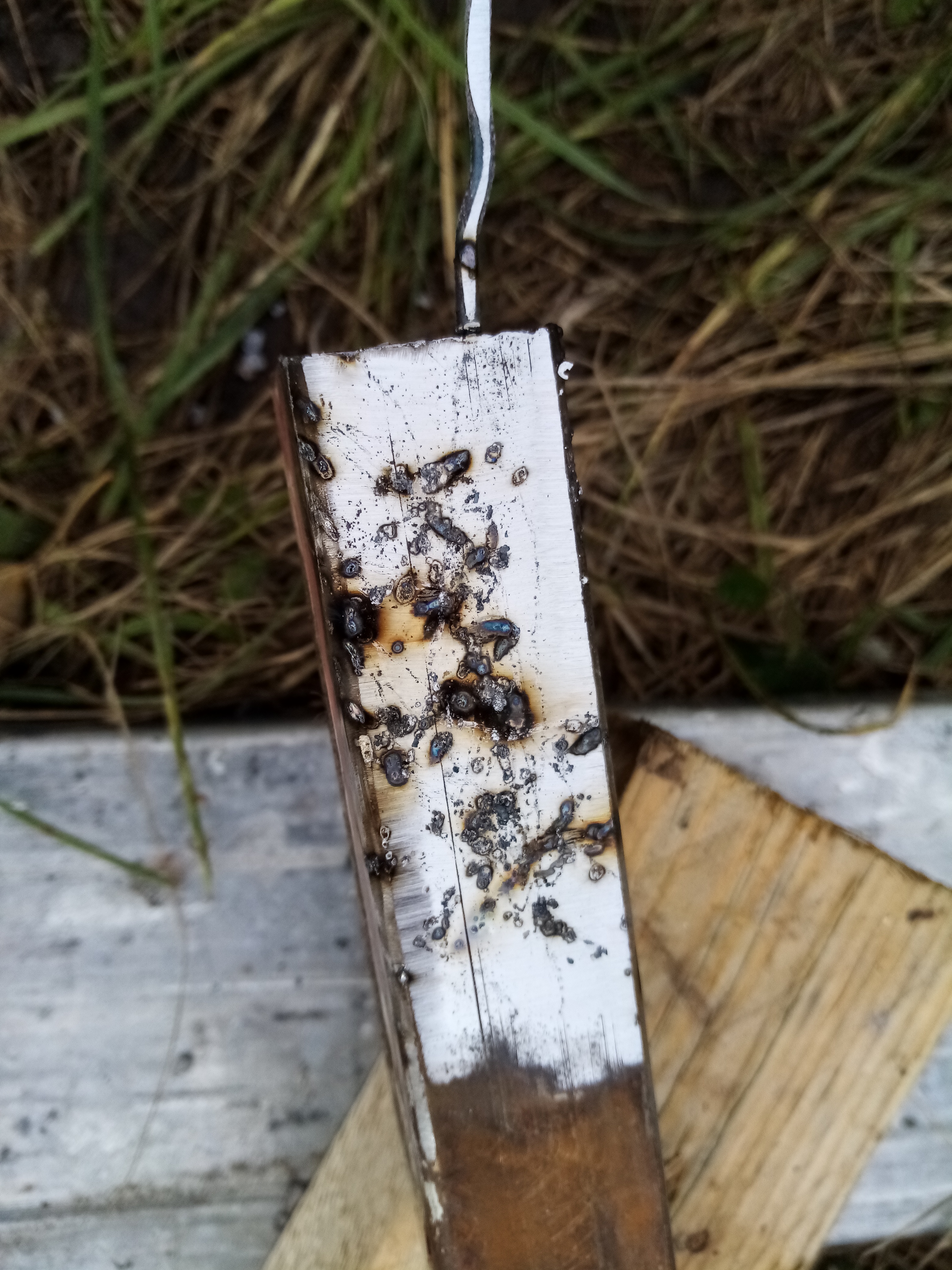 Nom : IMG_20251025_111020.jpg
Affichages : 149
Taille : 3,34 Mo