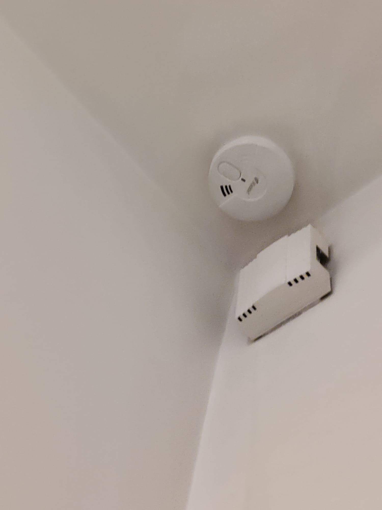 Nom : WhatsApp Image 2026-01-24 at 10.19.14 (1).jpeg
Affichages : 89
Taille : 58,4 Ko