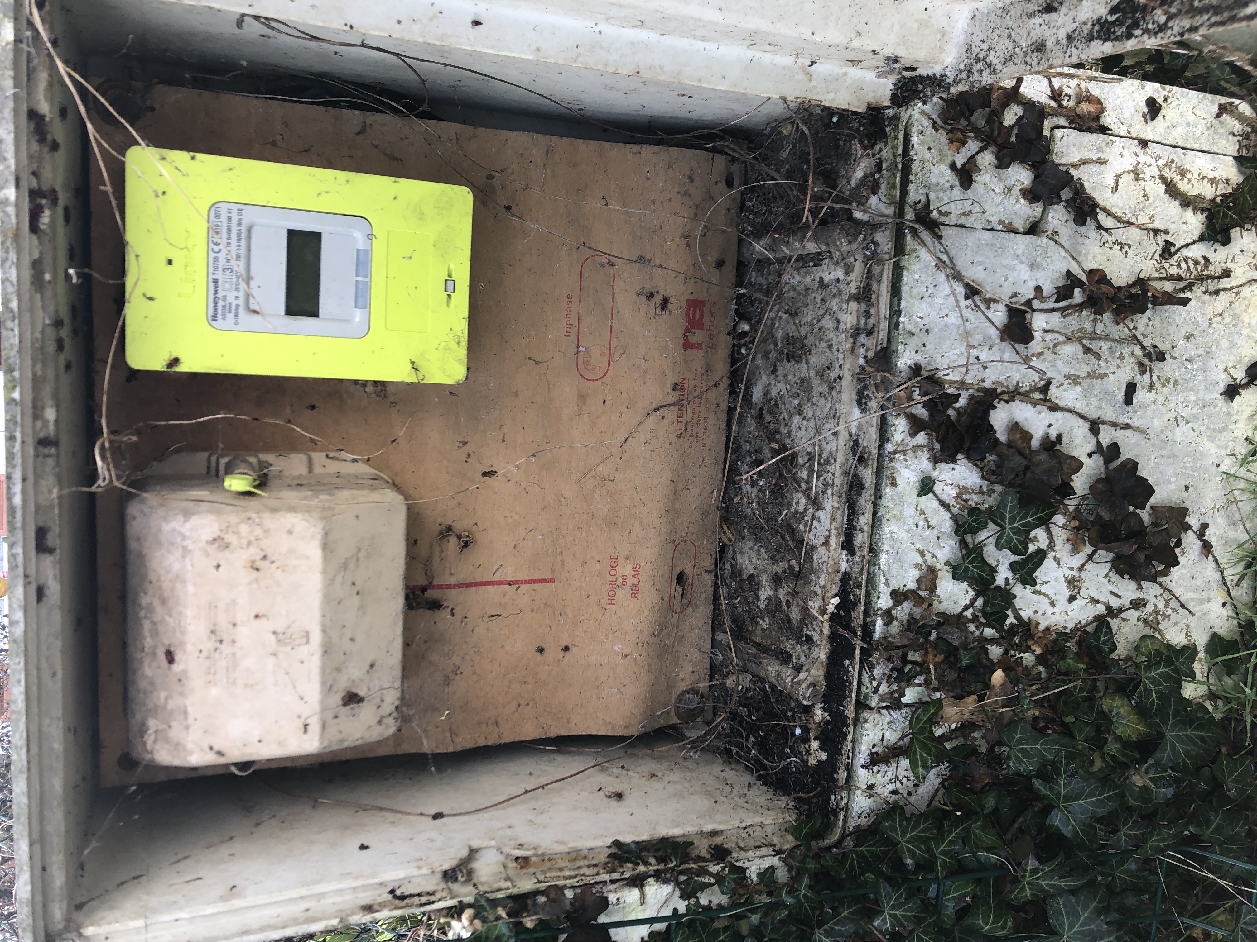 Nom : IMG_7477.JPG
Affichages : 65
Taille : 3,32 Mo