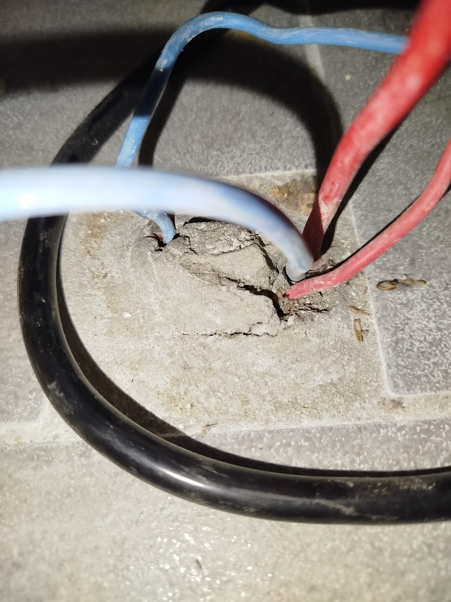 Nom : image.jpg
Affichages : 21
Taille : 278,0 Ko