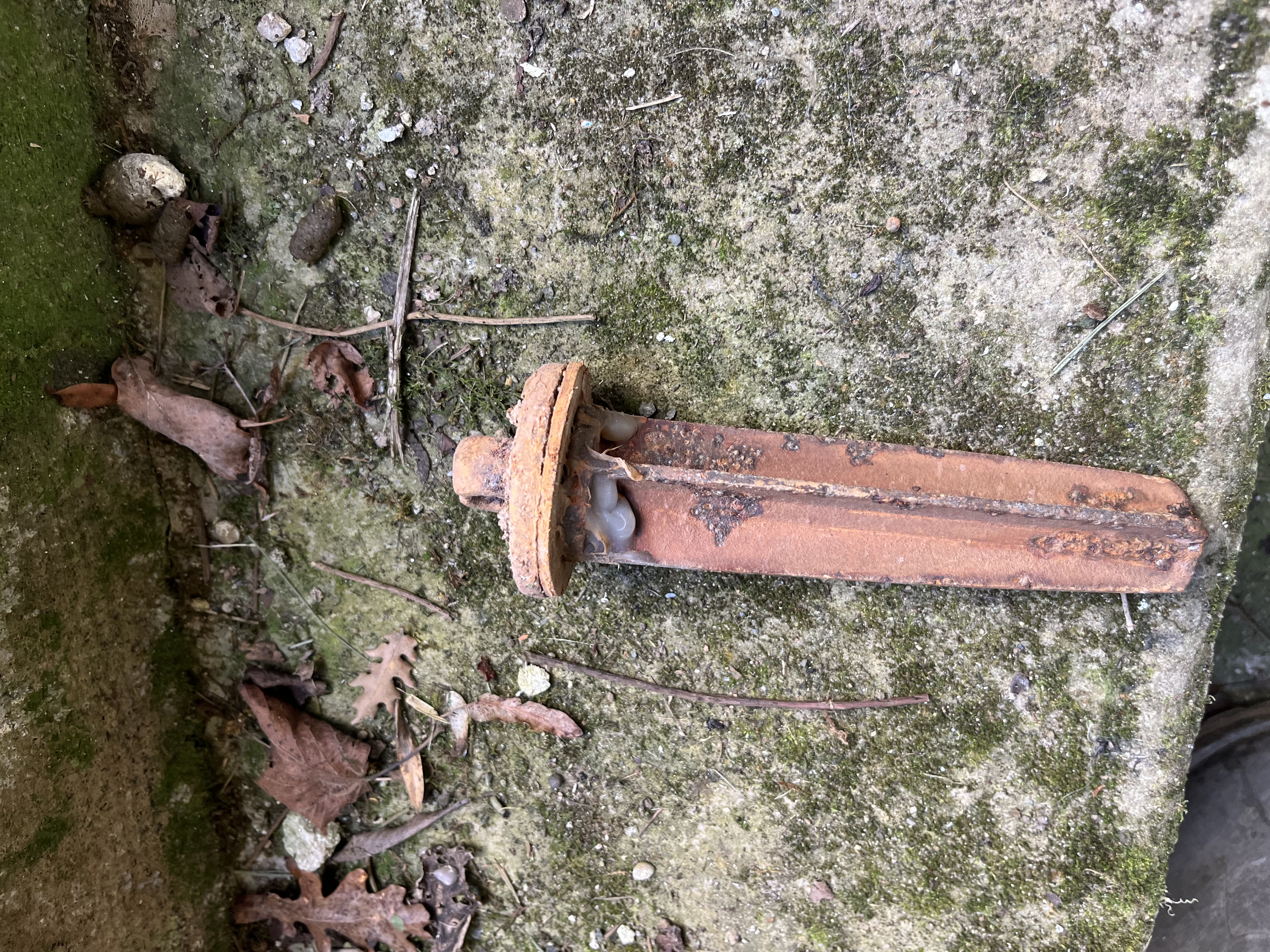 Nom : IMG_0693.jpeg
Affichages : 100
Taille : 5,57 Mo