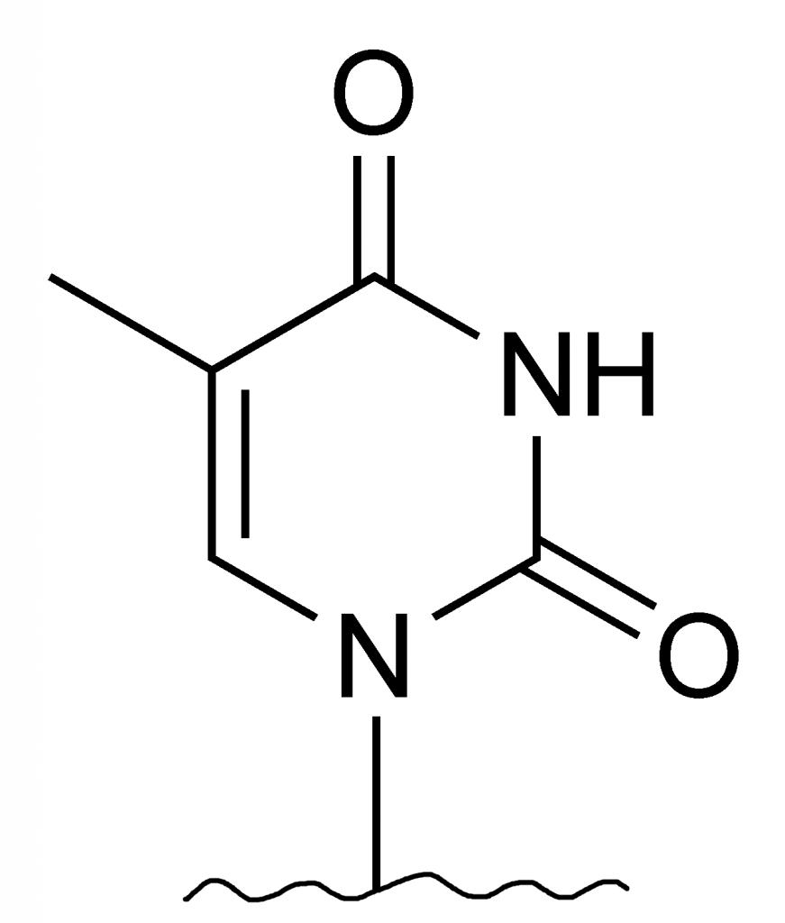 Nom : Thymine_chemical_structure.jpg
Affichages : 335
Taille : 36,8 Ko