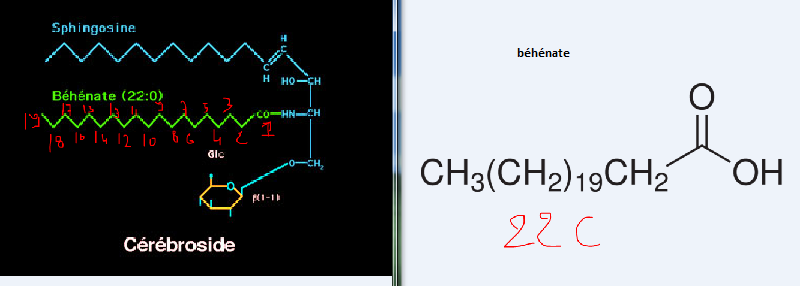 Nom : bh2.png
Affichages : 151
Taille : 60,8 Ko