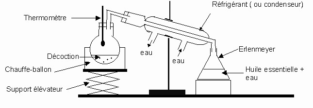 Nom : schema-hydrodistillation.jpg
Affichages : 1201
Taille : 31,4 Ko