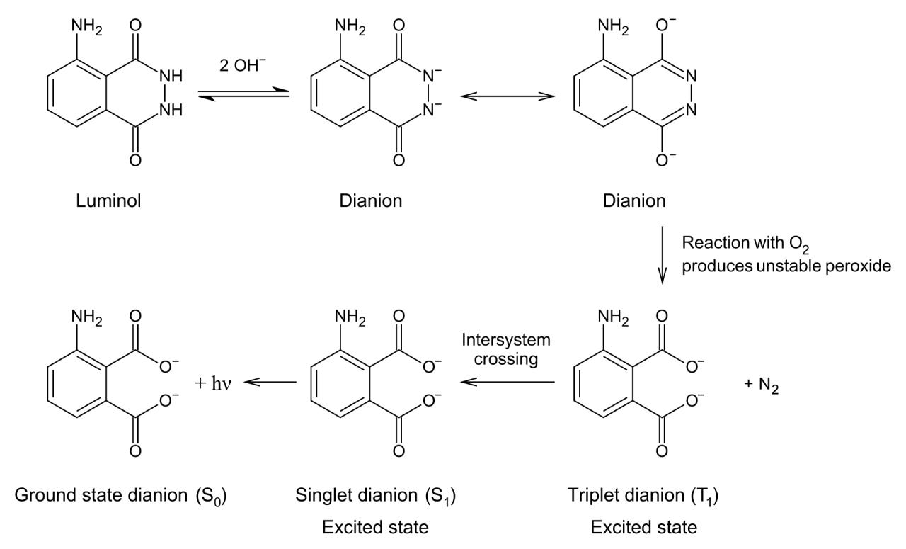 Nom : 1920px-Luminol_chemiluminescence_molecular_representation.svg.jpg
Affichages : 234
Taille : 63,3 Ko