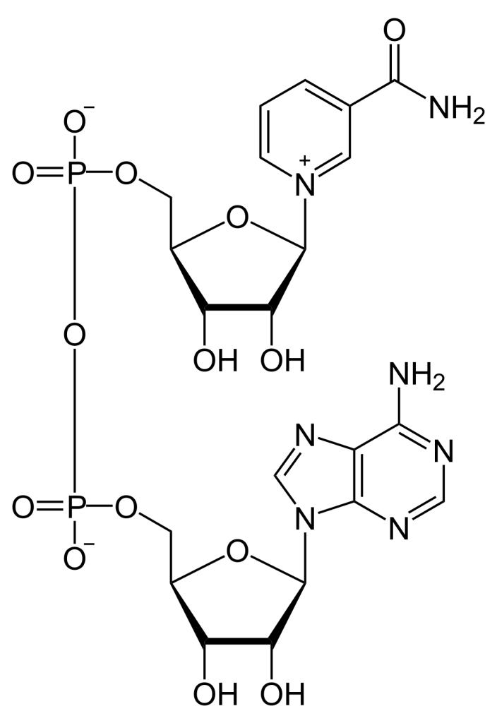 Nom : 1200px-NAD+_phys.svg.jpg
Affichages : 263
Taille : 39,7 Ko