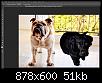 QR - Photoshop : comment bien dtourer une image ?-2180d80686_50150032_fusion.jpg
