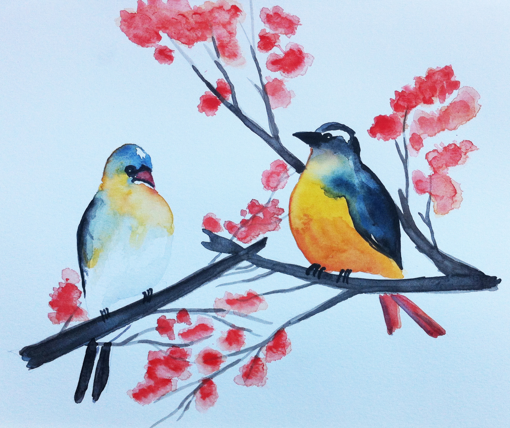 Nom : peintures-dessin-aquarelle-oiseaux-emilie-v-15242557-les-oiseaux.jpg
Affichages : 256
Taille : 782,7 Ko