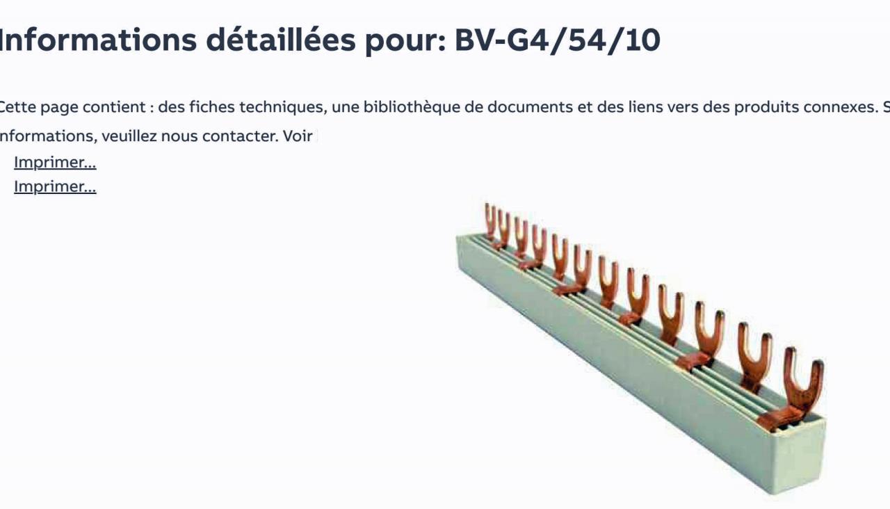 Nom : ABB BV-G4-54-10.jpg
Affichages : 185
Taille : 58,0 Ko