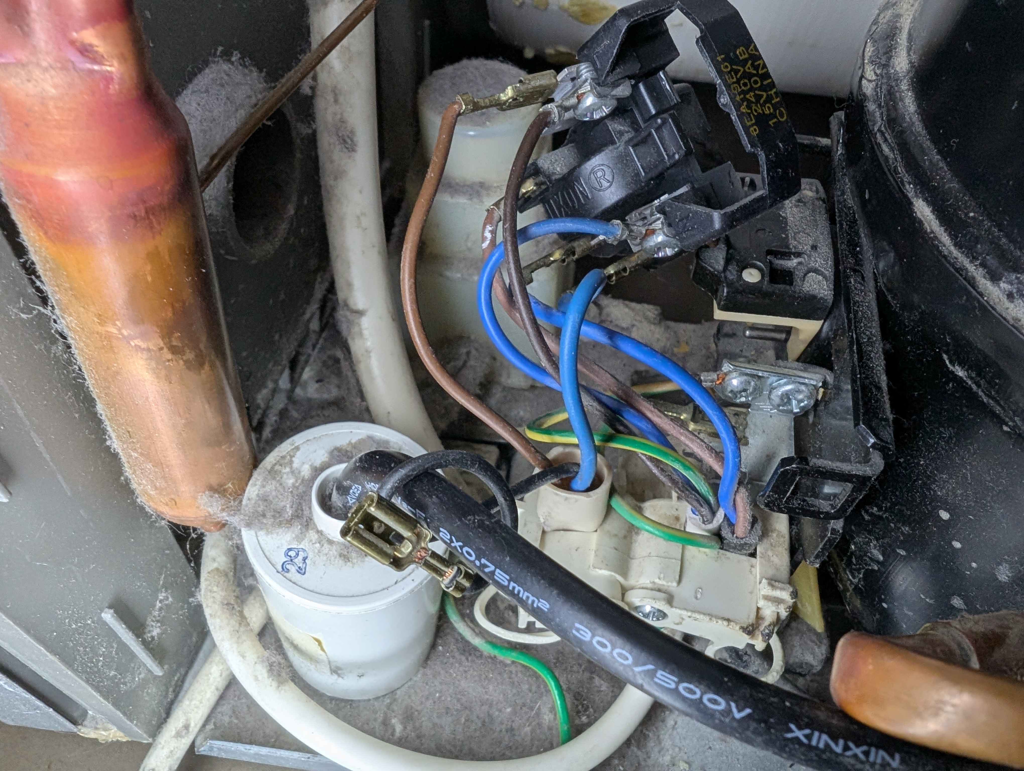 Nom : PXL_20260302_135448679.jpg
Affichages : 39
Taille : 2,39 Mo