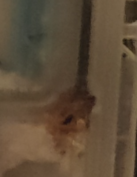 Nom : Capture d'�cran 2026-03-25 194803.png
Affichages : 2
Taille : 98,6 Ko