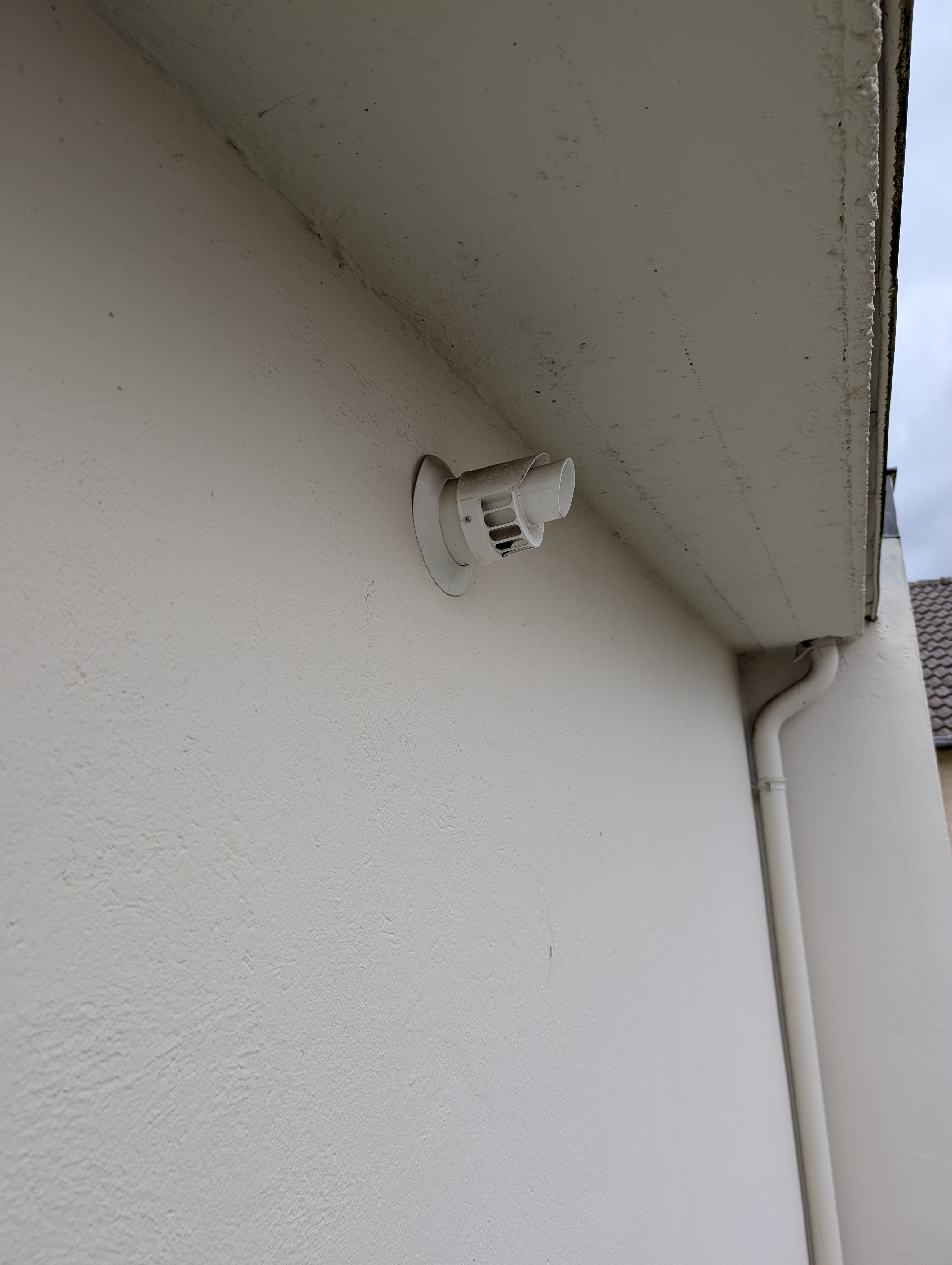 Nom : PXL_20260404_105424764.MP.jpg
Affichages : 30
Taille : 3,37 Mo