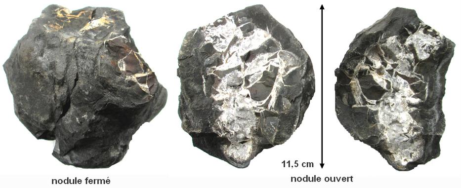 Nom : nodule1.jpg
Affichages : 213
Taille : 59,5 Ko