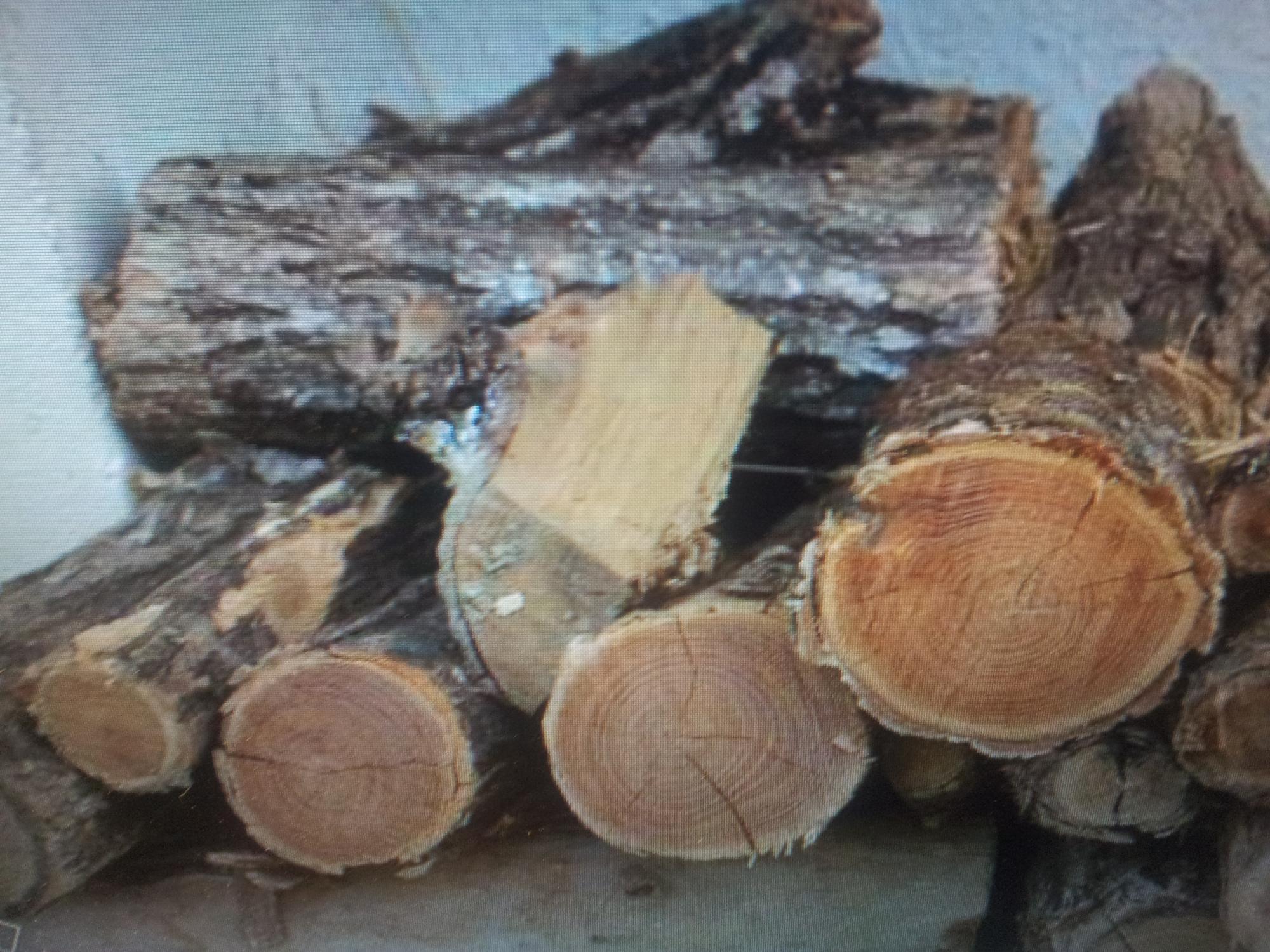 Les différents types de bois de chauffage - Pubert Acteur Naturel