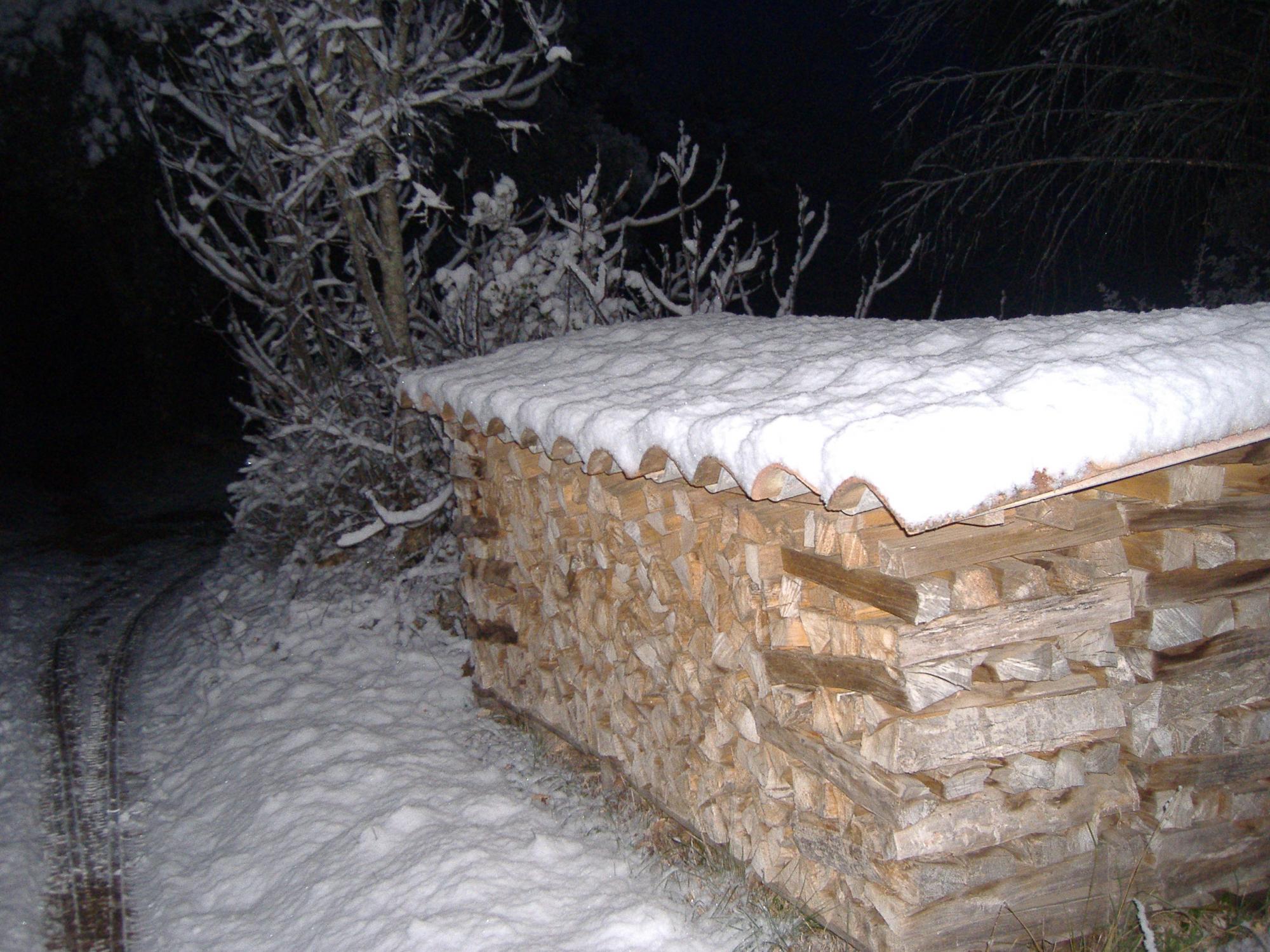 récolter du bois de chauffage pour l'hiver. un chariot vide se